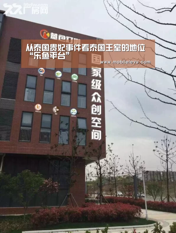 乐鱼平台